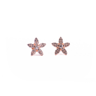Rose Gold Zircon Star Stud Earrings