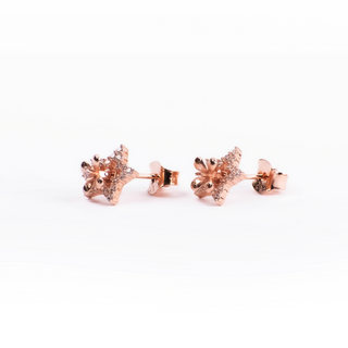 Rose Gold Zircon Star Earrings